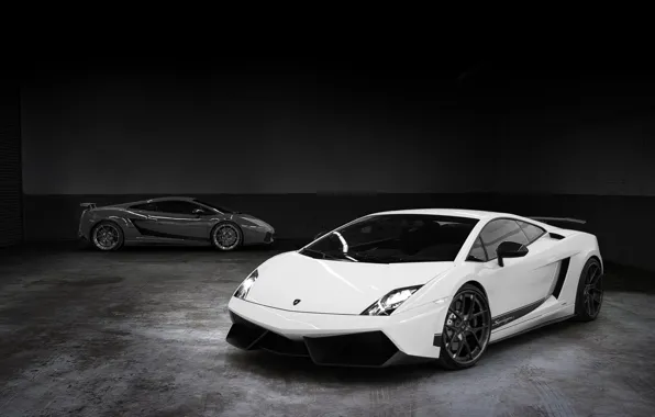 Картинка белый, серый, фон, тюнинг, Lamborghini, суперкар, Gallardo, полумрак