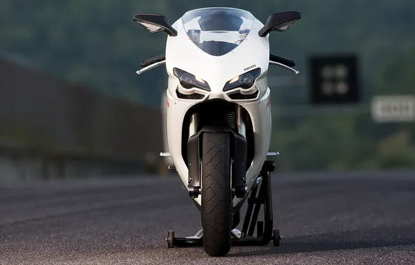 Картинка белый, мотоцикл, white, вид спереди, bike, ducati, дукати, supersport