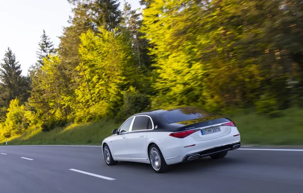 Картинка Mercedes-Benz, Mercedes, Maybach, S-Class, rear view, Mercedes-Maybach S 680