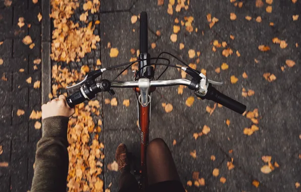 Картинка осень, девушка, велосипед, брусчатка, Rona Keller