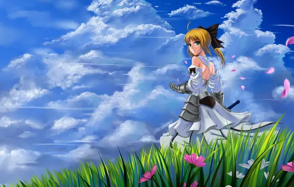 Картинка небо, трава, обои, аниме, блондинка, девочка, fate stay night, saber lily