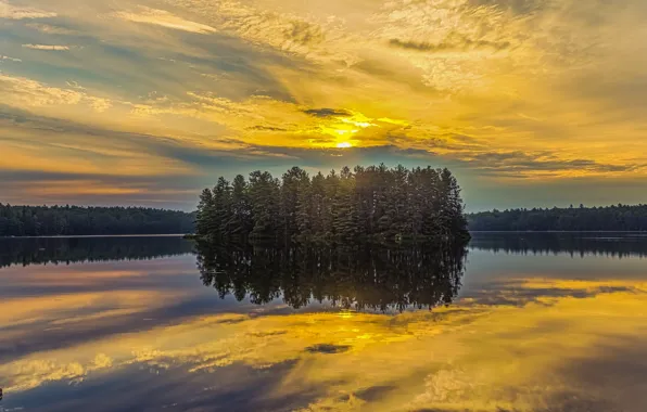 Лес, закат, природа, озеро