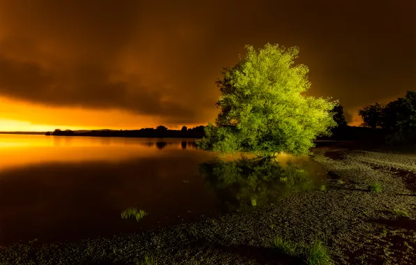 Картинка небо, трава, облака, свет, озеро, дерево, берег, вечер