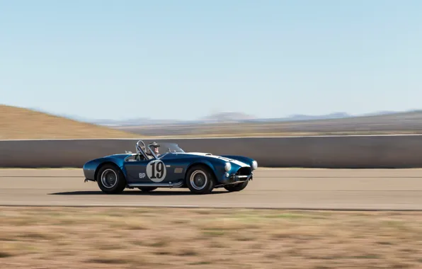 Картинка Shelby, Cobra, fast, sports car, Shelby Cobra 289