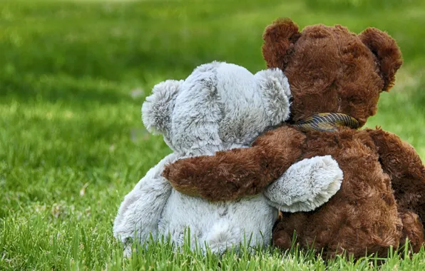 Любовь, мишка, пара, love, друзья, тедди, romantic, couple