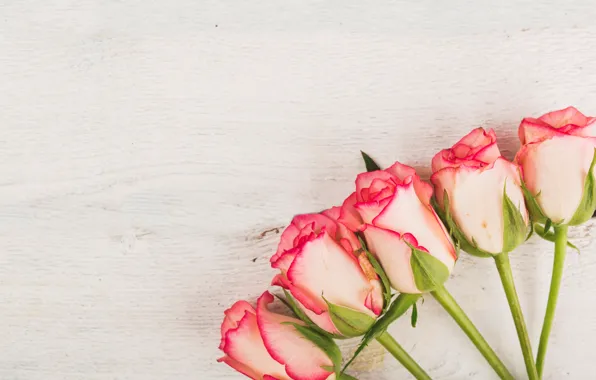 Цветы, розы, розовые, бутоны, fresh, wood, pink, flowers