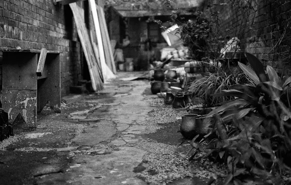 City, black, White, old