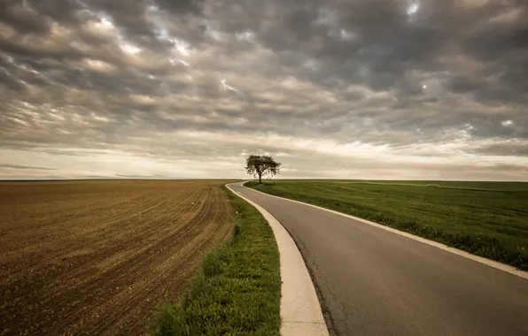 Картинка дорога, поле, дерево, буря, серые облака