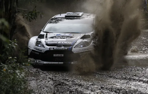 Ford, Брызги, WRC, Rally, Fiesta