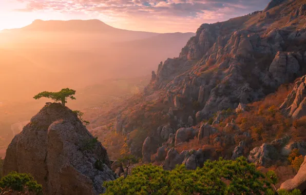 Картинка деревья, пейзаж, закат, горы, природа, скалы, сосны, Svetlov Sergey