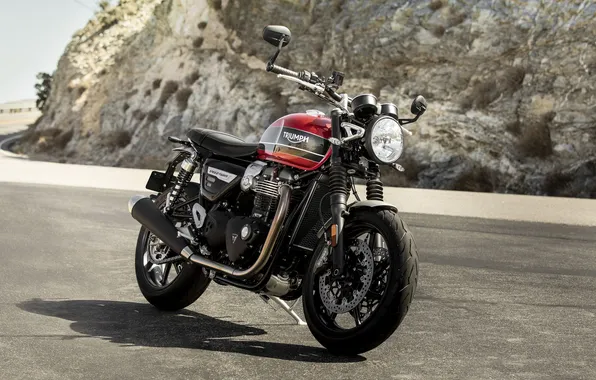 Speed, triumph, twin, 1200