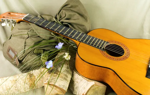 Картинка цветы, фон, романтика, гитара, рюкзак, поленья