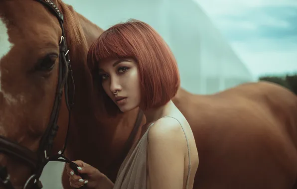Картинка взгляд, девушка, лицо, конь, лошадь, Анна Васина