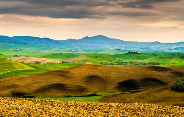Картинка трава, деревья, горы, дом, холмы, Италия, Тоскана