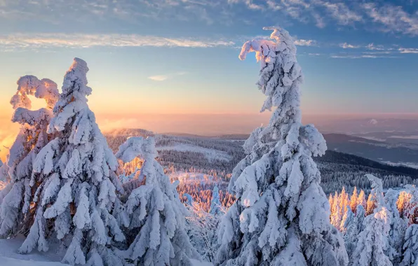 Картинка зима, снег, деревья, горы, Германия, Бавария, Гросер-Арбер