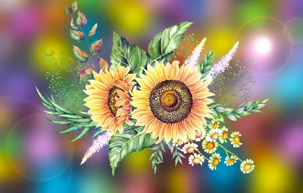 Grafika, Kwiaty, Liście, Słonecznik