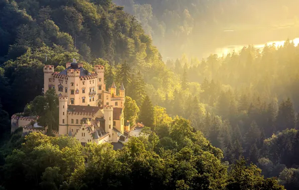 Лес, замок, Германия, Хоэншвангау, Hohenschwangau Castle