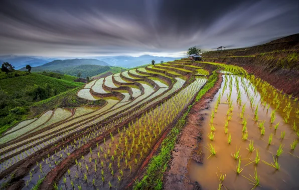Картинка небо, вода, ростки, склоны, выдержка, Таиланд, рисовые поля