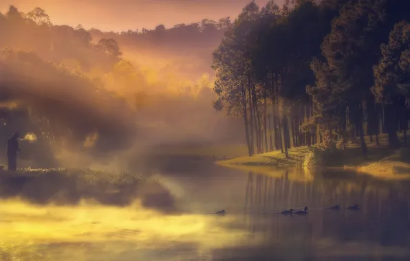 Картинка туман, река, утки, рыбак, утро, дымка