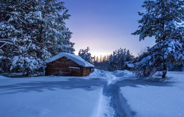 Картинка зима, снег, ночь, тропа, домики