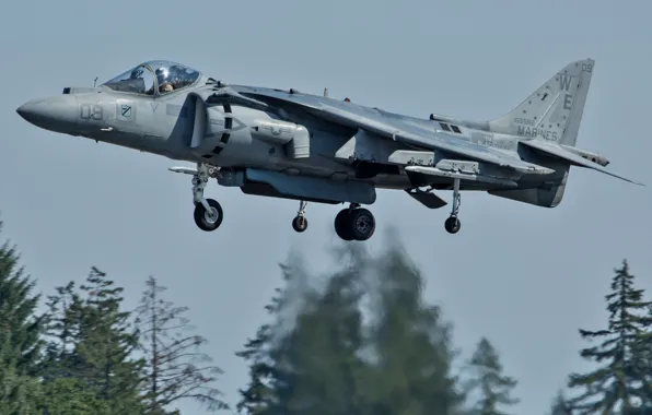 Истребитель, штурмовик, взлет, AV-8B, Harriers