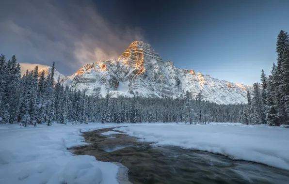 Картинка зима, лес, снег, река, Канада, Альберта, Национальный парк Банф, Гора Чефрен