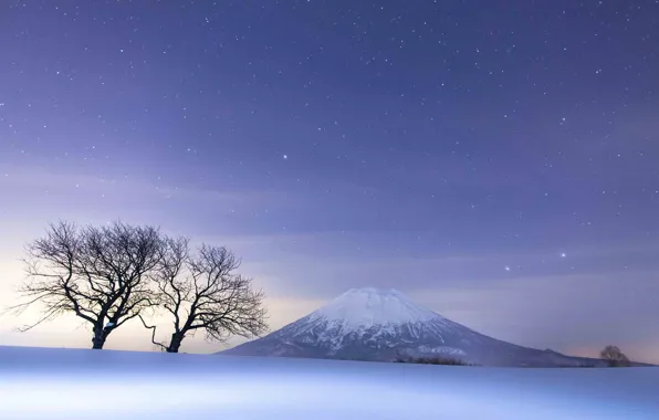 Картинка Nature, sky, trees, landscape, night, winter, mountains, snow
