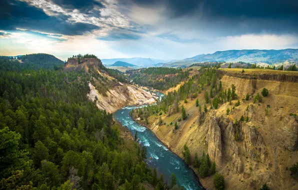 Картинка деревья, горы, природа, река, Yellowstone National Park
