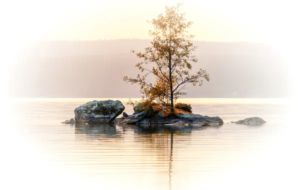 Картинка осень, горы, озеро, камни, дерево, остров
