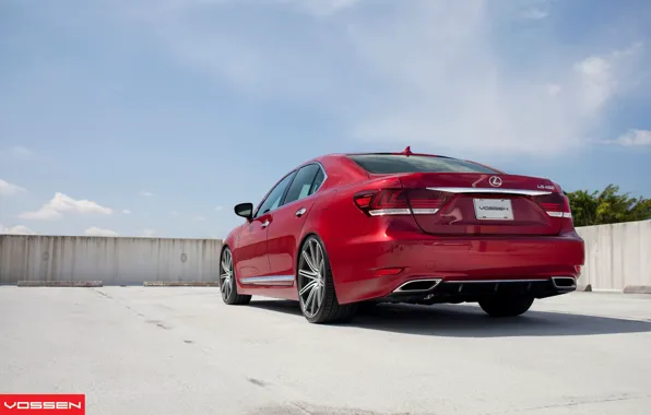 Red, vossen, Lexus LS460