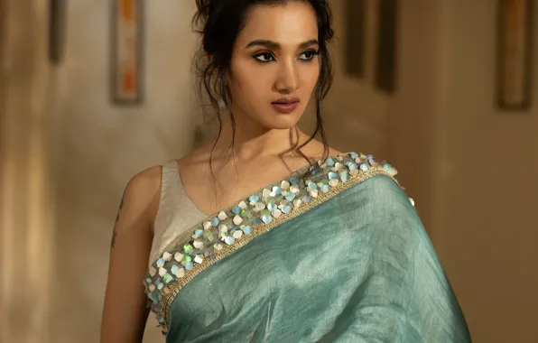 Model, beauty, bollywood, saree, fashion model, traditional, indian actress