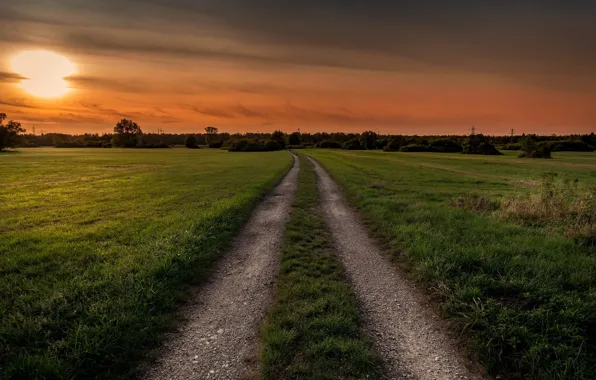 Картинка дорога, поле, ночь