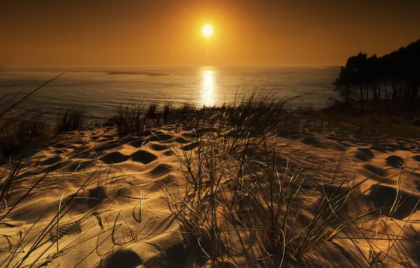 France, Aquitaine, Pyla sur Mer