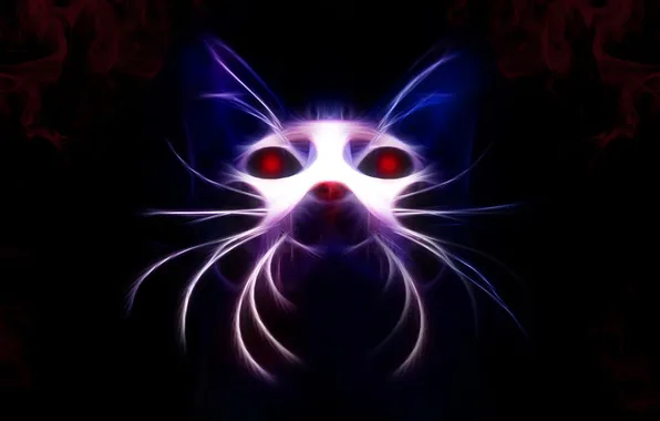 Кот, усы, морда, животное, голова, уши