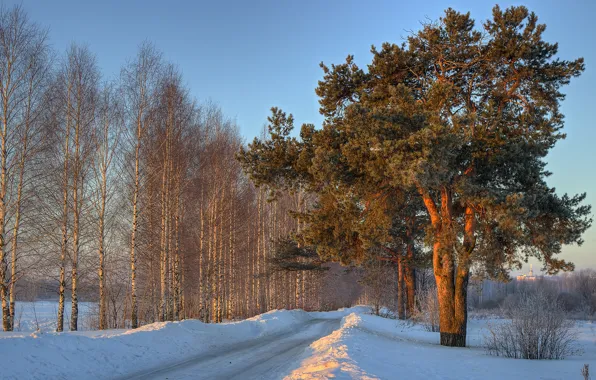 Картинка зима, дорога, снег, деревья, березы, сугроб, сосна