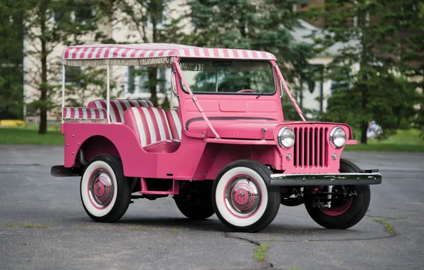 1960, jeep, gala, surrey, willys
