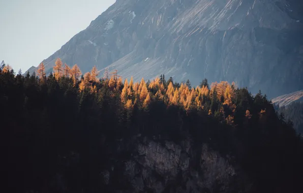 Rock, Switzerland, trees, nature, Europe, autumn, mountain, hills