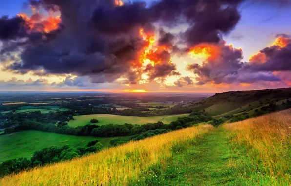 Картинка зелень, поле, небо, трава, солнце, облака, деревья, пейзаж