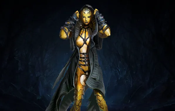 Игра, Лес, Боец, Mortal Kombat, Персонаж, Ди'Вора, Китинн, Королева роя