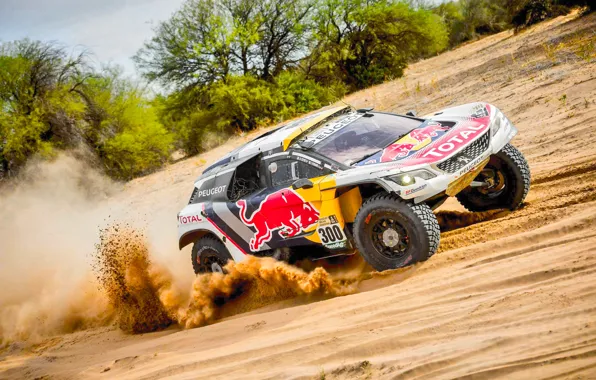 Песок, Спорт, Скорость, Гонка, Peugeot, Фары, Red Bull, Rally