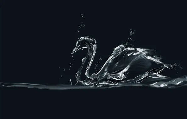 Картинка вода, пузыри, минимализм, лебедь, bubbles, swan, minimalism, water
