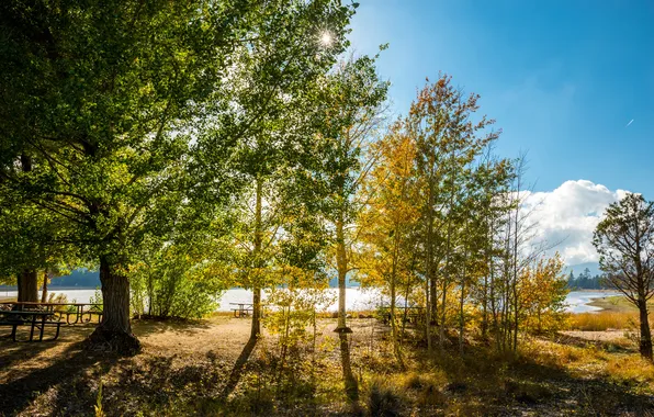 Картинка осень, деревья, пейзаж, озеро, парк, стол, скамья