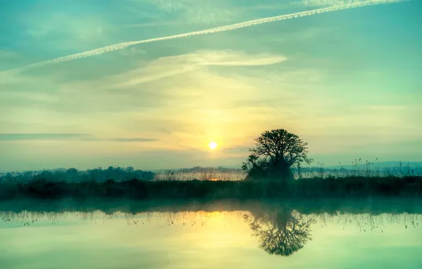 Картинка солнце, природа, туман, гладь, отражение, река, дерево, тишина