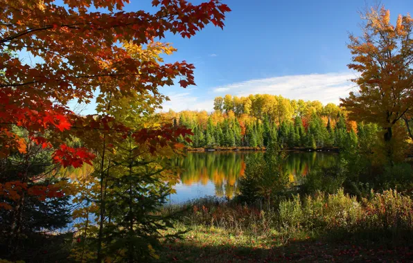 Картинка осень, лес, небо, озеро, фото
