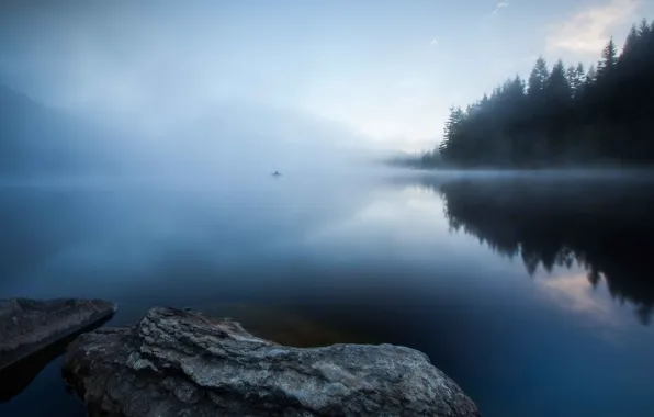 Картинка лес, туман, озеро, рыбак, утро