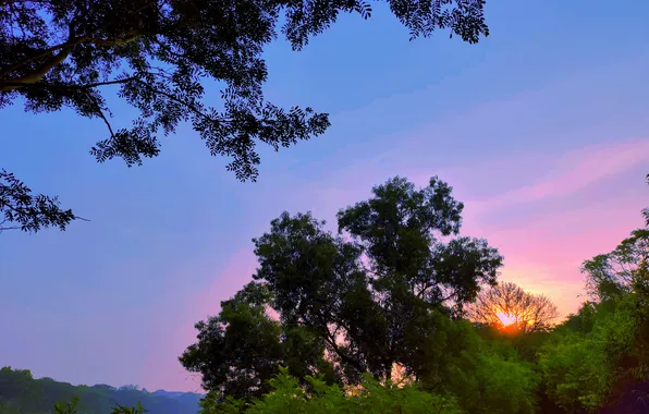 Sun, Water, Sunrise, Dawn, Morning, Lake, Trees, Reflection