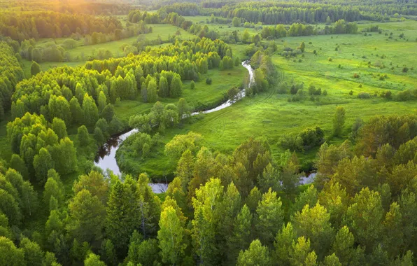 Картинка лето, деревья, пейзаж, природа, река, леса, луга, Владимир Рябков
