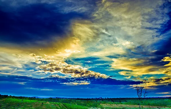 Картинка поле, небо, трава, облака, зарево