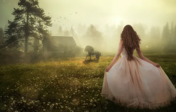 Картинка девушка, природа, конь, спина, платье, домик, Evgeny Dvoretckiy