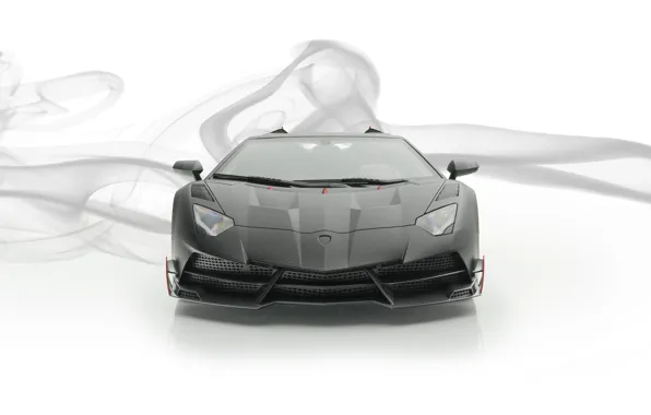 Roadster, Lamborghini, суперкар, вид спереди, Aventador, Mansory, 2019, Carbonado Evo